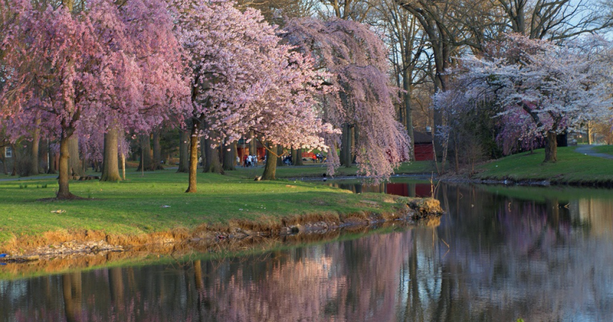 Warinanco Park Sports Center in Elizabeth, NJ Visit Elizabeth, New